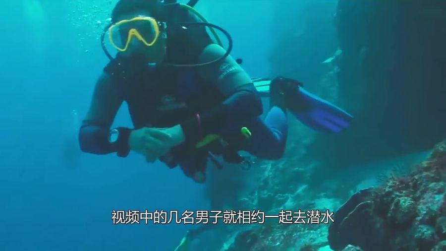 大田四情监测调度系统详细介绍鸣乔科技
