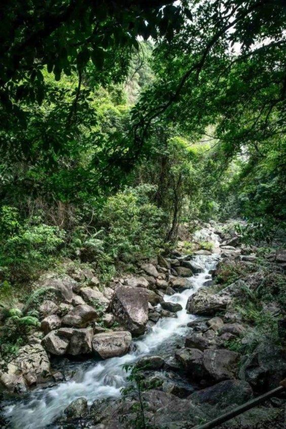 济南二中有位“宝藏”音乐老师